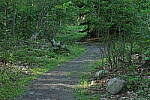 Click to see Y-JG-PENTAX-K3-III-1178-ISO-102400.JPG