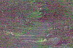 Click to see Y-JG-PENTAX-K3-III-1182-ISO-1600000.JPG