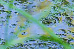 Click to see Y-JG-PENTAX-K3-III-1209-MOD.JPG