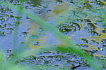 Click to see Y-JG-PENTAX-K3-III-1209.JPG