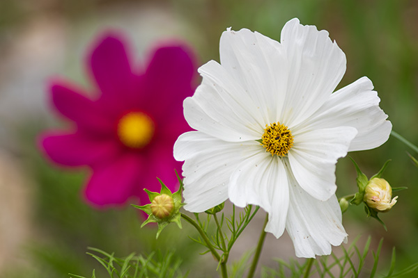 Pentax K-3 III Review: Field Test -- Gallery Image