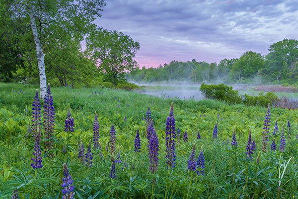 Pentax K-3 III Review: Field Test -- Gallery Image