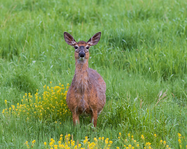 Pentax K-3 III Review: Field Test -- Gallery Image