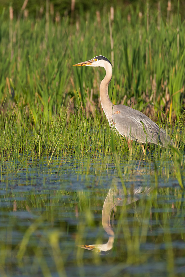 Pentax K-3 III Review: Field Test -- Gallery Image