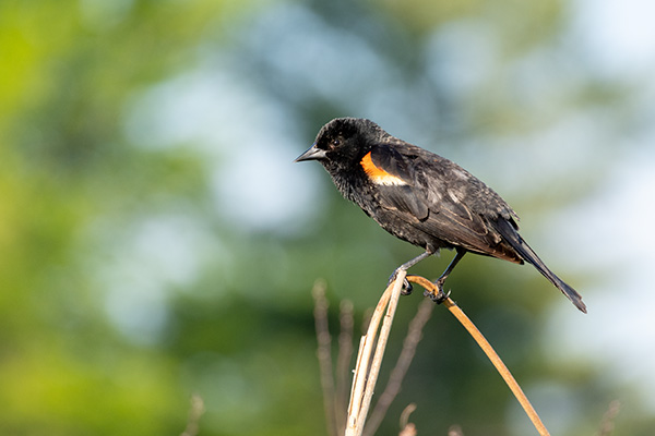 Pentax K-3 III Review: Field Test -- Gallery Image