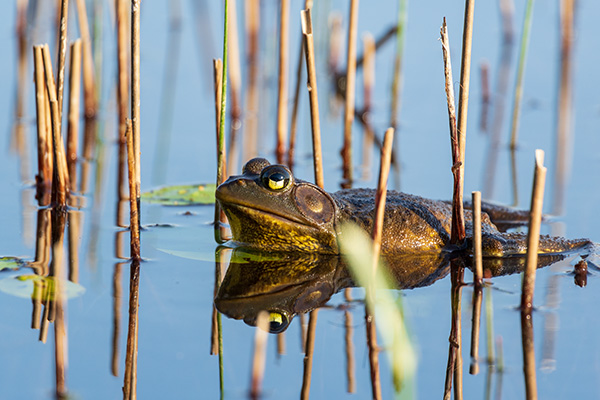 Pentax K-3 III Review: Field Test -- Gallery Image