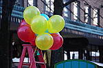 Click to see YIMGP0783.JPG