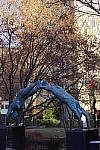 Click to see YIMGP1490.JPG