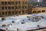 Click to see YIMGP4821-70mmHDLimited.JPG
