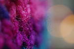 Click to see YIMGP4858-35mmHDLimited-Macro.JPG