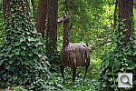 Click to see YIMGP0811.JPG