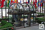 Click to see yIMGP0077.JPG