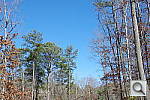 Click to see K52PINE.JPG