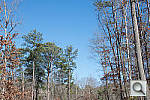 Click to see K52PINE_ACRu300r03.JPG