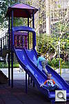 Click to see YIMGP3929.JPG