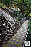 Click to see YIMGP3999.JPG