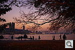 Click to see YIMGP4211.JPG