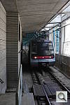 Click to see YIMGP4241.JPG