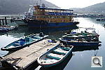 Click to see YIMGP4281.JPG