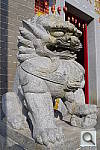 Click to see YIMGP4282.JPG
