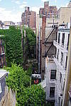Click to see YIMGP0110.JPG