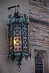 Click to see YIMGP1218.JPG