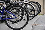 Click to see YIMGP1241.JPG