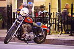 Click to see YIMGP1067.JPG