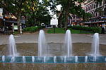 Click to see YIMGP1772.JPG
