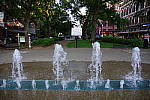 Click to see YIMGP1774.JPG