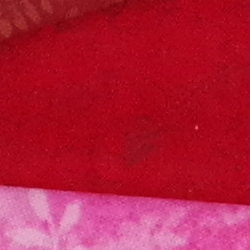 100% crop from Pentax KP test image taken at ISO 1600