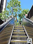 Click to see YIMGP0530.JPG