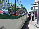 Click to see YIMGP0537.JPG
