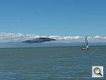 Click to see YIMGP0546.JPG