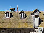 Click to see YIMGP0609.JPG