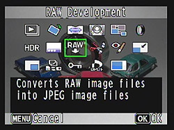 Pentax MX-1 Batch RAW