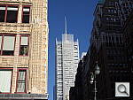 Click to see YIMGP0251.JPG