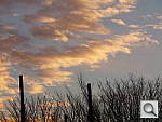 Click to see YIMGP0313.JPG