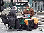 Click to see YIMGP0429.JPG