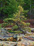 Click to see Y-JG-IQ4-150MP-2471-MOD.JPG