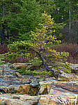 Click to see Y-JG-IQ4-150MP-2471.JPG