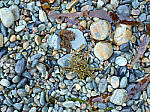 Click to see Y-JG-IQ4-150MP-2480-ISO-400.JPG
