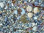 Click to see Y-JG-IQ4-150MP-2481-ISO-800.JPG