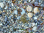 Click to see Y-JG-IQ4-150MP-2484-ISO-6400.JPG