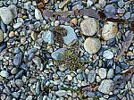 Click to see Y-JG-IQ4-150MP-2485-ISO-12800.JPG