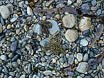 Click to see Y-JG-IQ4-150MP-2486-ISO-25600.JPG