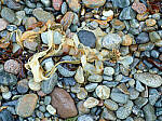 Click to see Y-JG-IQ4-150MP-2488.JPG
