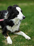 Click to see Y-JG-IQ4-150MP-2611.JPG