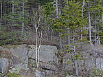 Click to see Y-JG-IQ4-150MP-2749.JPG