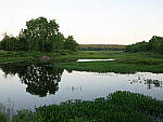 Click to see Y-TRI-CF006588.JPG